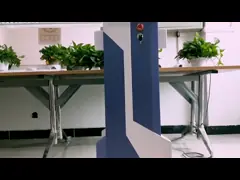 OEM ODM машины лазера СО2 меток простирания угорь частичный video