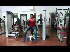 Heavy Duty Matrix Commercial Fitness Equipment Steel Frame Fly / Chest Press Machine