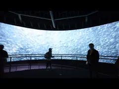 Large 4K 3D Cinema Screens Silver 3D Projection Screen with Silver Painting