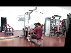 Крытые машины разминки фитнеса жизни/машина Пулльдаун Лат совместили с усаженной строкой video