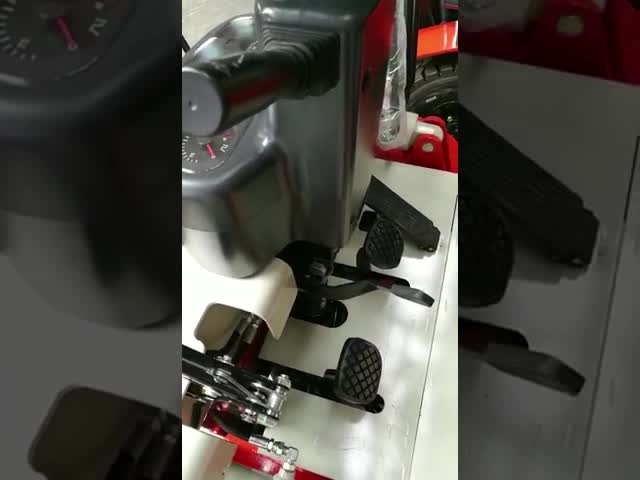 Empilhadeira vermelha da carga do lado do motor diesel de maquinaria de construção de estradas para o transporte longo dos bens da tubulação de madeira