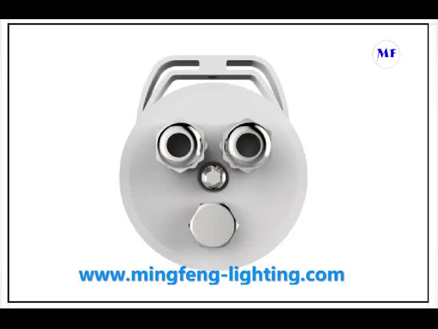 IP66 LED Tri - Proof Lights 60cm 90cm 120cm 150cm 12W - 80W With CE SAA CB Approval
