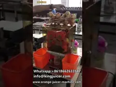 Машина Juicer нержавеющей стали автоматическая померанцовая/машины фруктового сока извлекая video