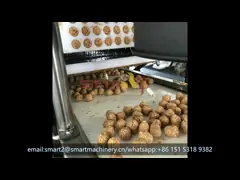 Адвокатура хлопьев ПЛК Сименса формируя производственную линию машины для сахара шарика риса конфеты сезама video