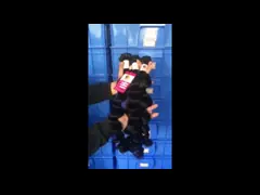 Свободные запутывая человеческие волосы волос девственницы бразильянина 100% первоначальные Уньпросессед video