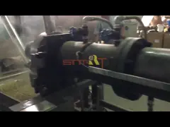 линия штранг-прессования кошачьей еды винта 2500kg/H близнеца 38CrMoAl video