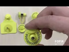 Бирки уха скотин РФИД напечатанные таможней предотвращают инфекционные заболевания, желтый цвет video