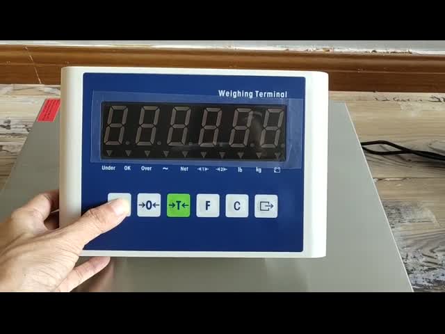 緑のLED表示が付いている精密天秤ばかりの表示器/トラックのスケールの表示器