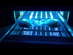 Упаковка ультрафиолетов больницы воды еды печи стерилизатора нержавеющей стали УЛЬТРАФИОЛЕТОВОЙ химическая video