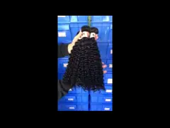 Веаве вьющиеся волосы волос девственницы бразильянина Глоосы 100% естественный Уньпросессед video