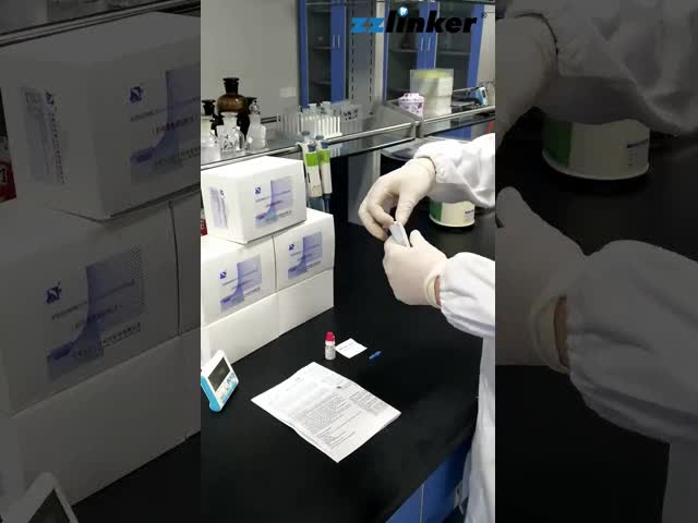 CE FDA Human Serum Antibody IgM IgG Rapid Test Kits