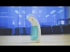 Portable ABS Antomomy 10min Handy Clothes Steamer video