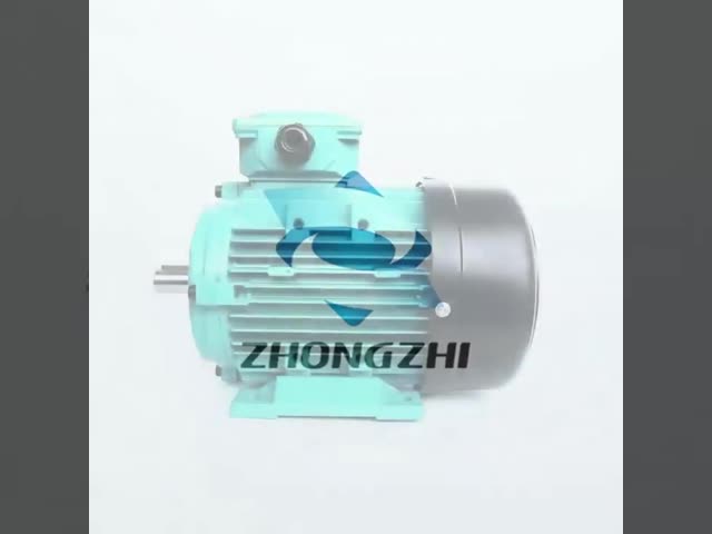 IEC Standard 380V Three Phase Electric Motor Aluminum 5.5KW 7.5HP MS132S-4