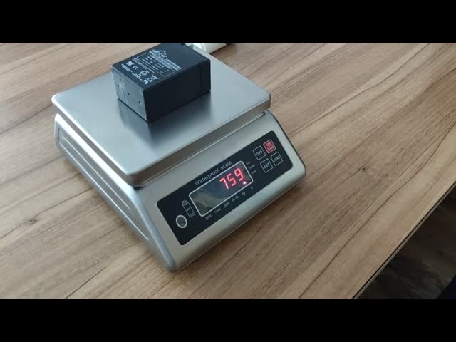 Double LED Display Waterproof Weighing Scale , Stainless Steel Portable Weighing Scale