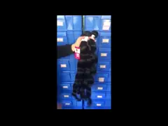 Волосы полностью толстой девственницы объемной волны Етта бразильские 4 пачки с Фронтал video