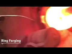 Инконел 625 подгоняло рукав частей собрания клапана стальным выкованный сплавом для судостроения video