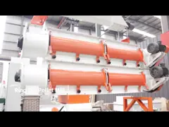 Высокая эффективность выхода 15T/H 132Kw машины лепешки грошей высокая энергосберегающая video