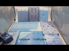 Температура 0°C 1 фунт Большие холодильные пакеты для контроля температуры video