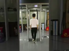 Профессиональная прогулка через металлоискатель, прогулка через блоки развертки безопасностью video