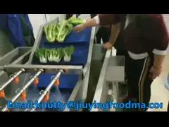 Commercial 304SUS Vortex Vegetable And Fruit Washing Machine For JY-4200