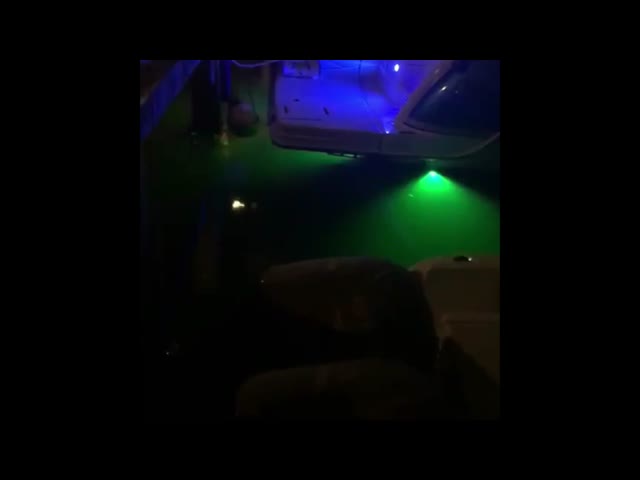 Шлюпка СИД морских рыб привлекательная подводная освещает дистанционное управление Bluetooth видео