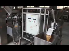 Коллоидная мельница еды мельницы чилей коллоида арахисового масла нержавеющей стали чокнутая video