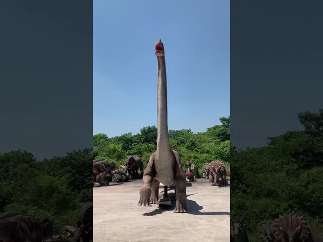 Weatherproof Realistic Dinosaur Model , Life Size Brachiosaurus Dinosaur Lawn Statue
