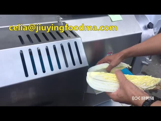 Обрабатывающее оборудование двойной функции ФМ Вегетабле вывело наружу 500~2000кг/Х видео