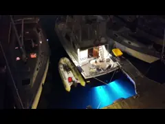 СИД морское подводное светлое RGBW 4 нержавеющей стали 24W в 1 испуская цвете video