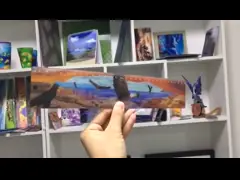 Канцелярские принадлежности подарка изготовленных на заказ линзовидных правителей правителя 3d прямых выдвиженческие video