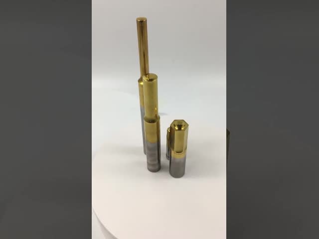 DIN Standard Polishing Tungsten Carbide Hex Punch Pin