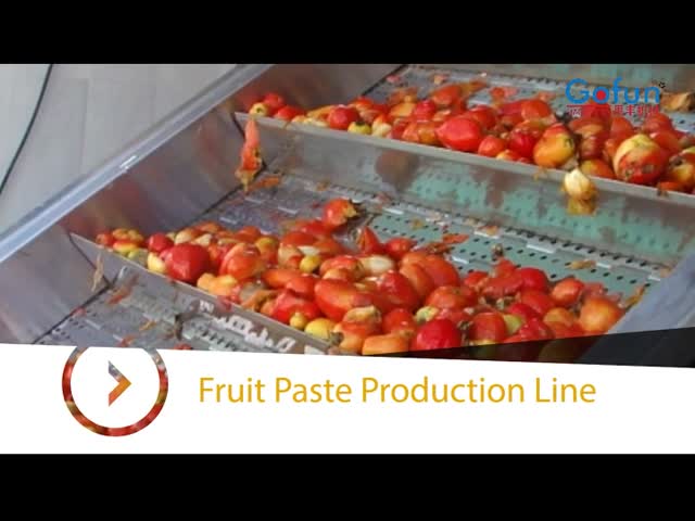 Производственная линия 250t/d томатной пасты безгнилостной сумки свежая видео