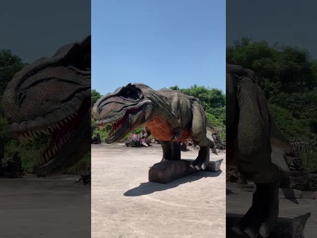 Sun Proof Realistic Dinosaur Model For Outdoor Stage Show / Amusement Park