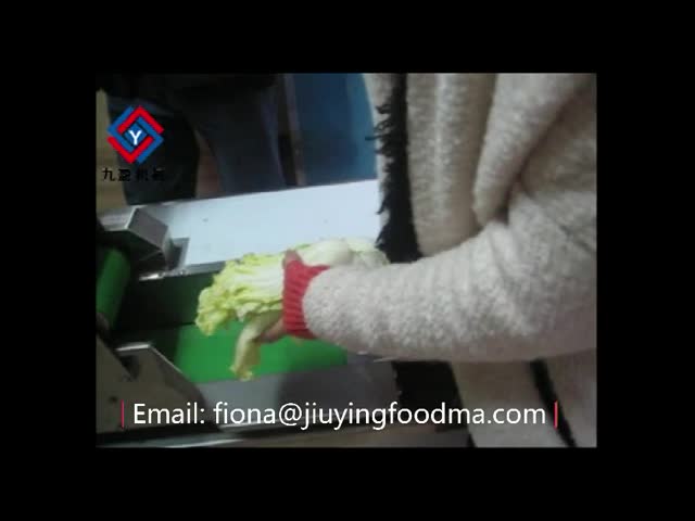 Leafy And Root Vegetable Processing Equipment Multifunctional 110V 2.5KW video