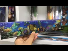 Сальто EEffects правителя PVC 3D ЛЮБИМЦА линзовидное с ЛЮБИМЦЕМ 0.9mm не токсическим video