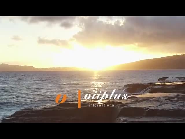 SAE Standard Layer Bimetallic Strips & Plates Split Type Lubricated Metal