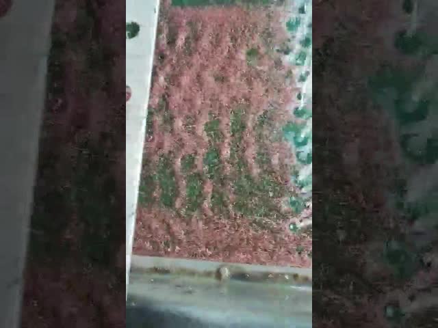 Подгонянная деятельность системы ленточного транспортера машины разделителя меди силы ровная видео