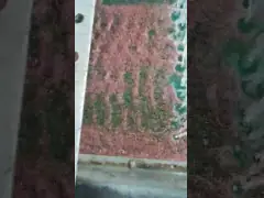 Подгонянная деятельность системы ленточного транспортера машины разделителя меди силы ровная video