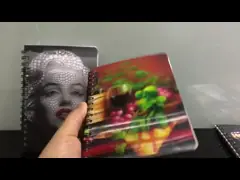 Таможня тетради изображения пингвина напечатала определение крышки спиральных тетрадей 3Д высокое video