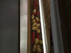 Приток воды давления небольшого уборщика овоща плода машины процессора травы Вегетабле высокий video