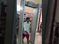 Мулти зоны идут через металлоискатель для аэропорта/таможен/порта/станции video