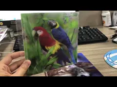 Карта прекрасного изображения животных 3Д линзовидная печатая 2 офсетную печать сторон КМИК video