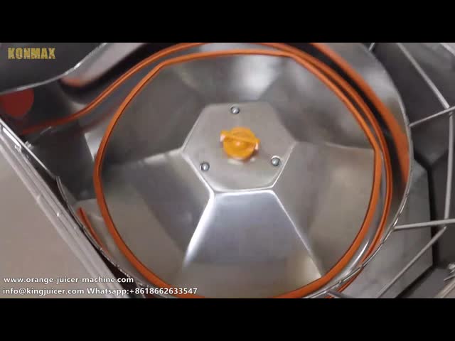 Облегченная машина Juicer Zumex 50hz коммерчески померанцовая, электрический Juicer цитруса для адвокатского сословия видео