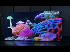 Максимум освежает дисплей /Led экрана стены СИД полного цвета ХД П3 П4 П5 П6 крытый видео- video