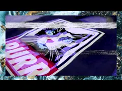 Сумка Тоте передачи тепла Ресиклабле, сумки Тоте холста мультфильма с молнией video