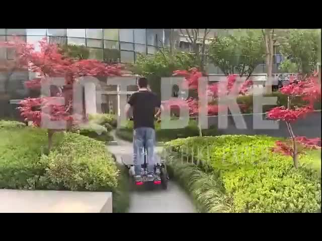 cargo bike scoorter