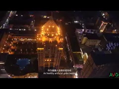 Благоустраивать ковра травы игры травы траву на открытом воздухе естественную для украшения сада video