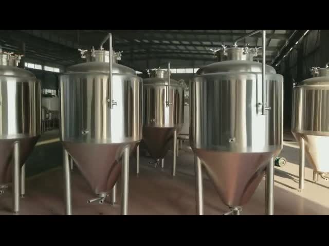 500L Beer fermentation tank
