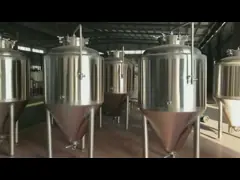 500L Beer fermentation tank