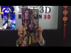 Изготовленное на заказ линзовидное изображение сальто 3д милых девушки и животного для домашнего украшения video